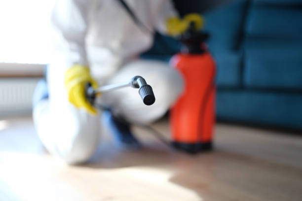 Loretto, TN Mold Removal Company